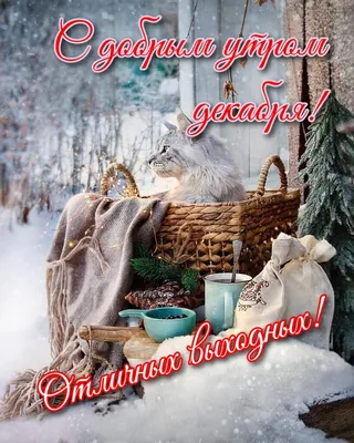 Пин от пользователя Gsmolnakov на доске Доброе утро | Доброе утро, Новый год,  Зима