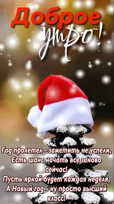 Доброе утро, любимые путешественники☀️☕❤️ Скоро Новый год и всё будет  хорошо😌 . . . #мечтайтеснами #еленатур #смоленск… | Instagram