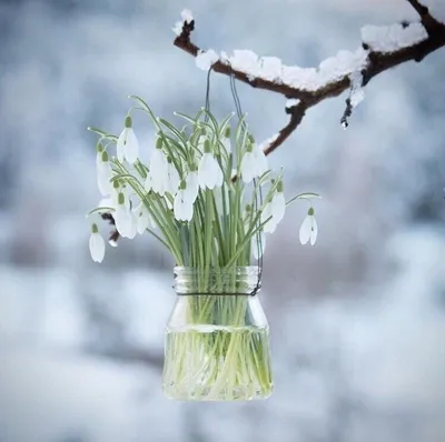 Доброе утро скоро Весна (Много фото!) - treepics.ru
