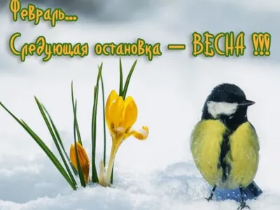 Скоро Весна ! | Новогодние открытки, Зима, Милые открытки