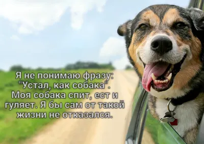 Доброе утро! | Пикабу