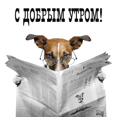 Зимние открытки \"Доброго утра!\" (236 шт.)