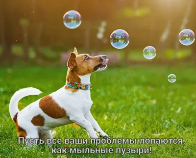 Доброе утро и добрую ночь! | Пикабу