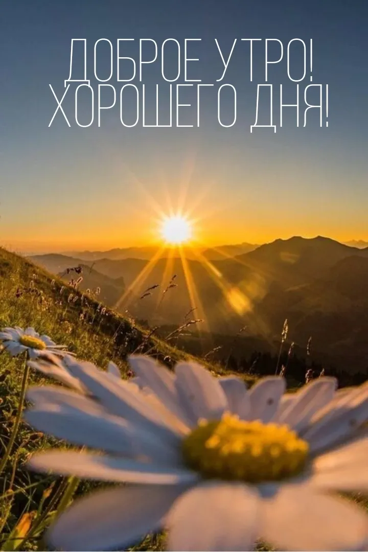 Картинки \"С Добрым Утром и Хорошего Дня!\" (461 шт.)