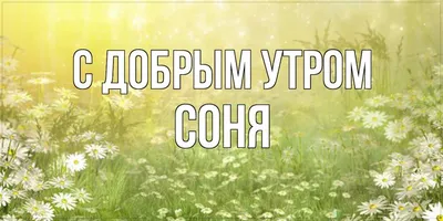 Картинки с надписью - С добрым утром! Соня, пора вставать!.