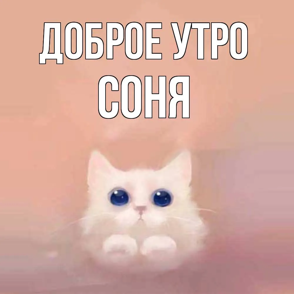 Доброе утро соня картинки