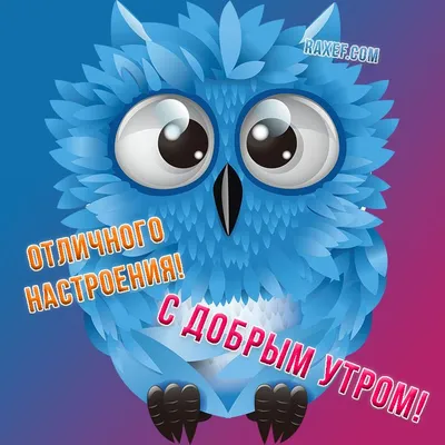 А ты сова? С добрым утром, совы! Качественные открытки с совами! С добрым  утром! Желаю хорошего дня! Картинка с... | Страница 13 | Доброе утро,  Открытки, Картинки