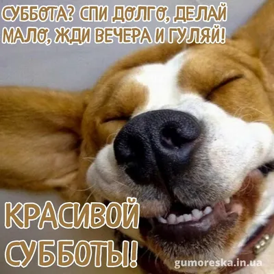 приколы #утро #утродоброе #доброеутро | TikTok