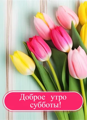 Елена Позднякова - #Утро# весна#суббота#прекрасного настроения# | Facebook