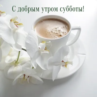 суббота #доброеутро #утро #доброе #11 #декабрь #зима #realmeWishList ... |  TikTok