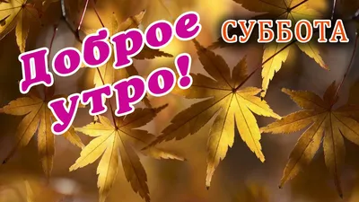 Доброго субботнего дня - Праздники сегодня | Рождественские узоры,  Праздник, Открытки