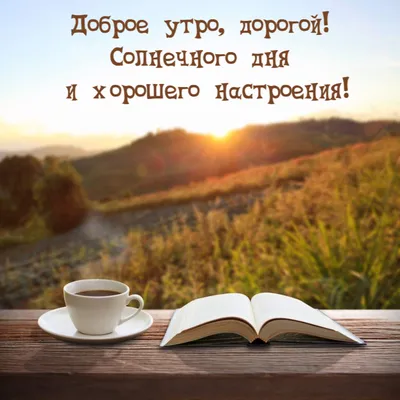 Осень... Доброе утро! Картинки со словами и стихами красивые - С добрым  утром! Хорошего дня и вечера! осенние открытки | Доброе утро, Открытки,  Надписи