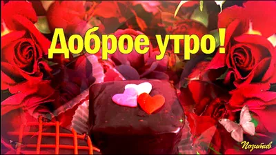 Картинки привет светка (41 фото) » Юмор, позитив и много смешных картинок