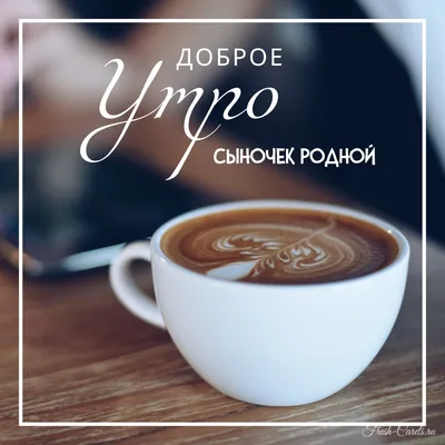 Доброе утро, сынок! | Пикабу