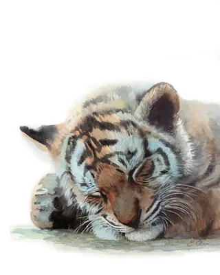 Доброе утро, скромный тигрёнок, …» — создано в Шедевруме
