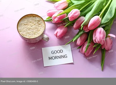 Новые картинки! Открытка с добрым утром, доброе утро, красивая картинка доброе  утро, тюльпаны!