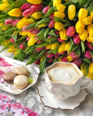 Доброе утро картинки с тюльпанами красивые - 77 фото