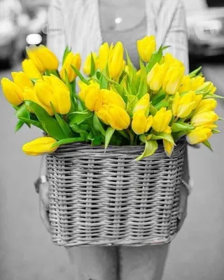 Картинки с пожеланиями с желтыми тюльпанами (49 фото) » Юмор, позитив и  много смешных картинок