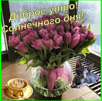 Доброе утро: цена, заказать с доставкой по Москве в интернет-магазине Cyber  Flora®