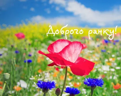 україна | Happy birthday cards, Good morning, Birthday cards