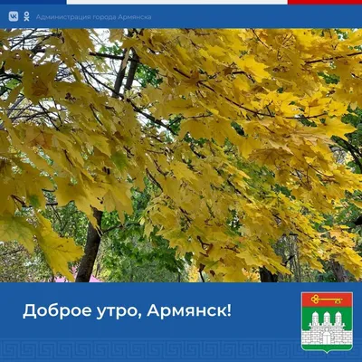 Доброе утро: пожелания доброго утра в прозе, своими словами, в картинках —  Украина