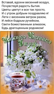 Мудрость жизни - Доброго утра пожелайте друг другу,... | Facebook