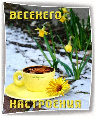 Весеннего настроения | Hallo frühling, Frühling, Guten morgen