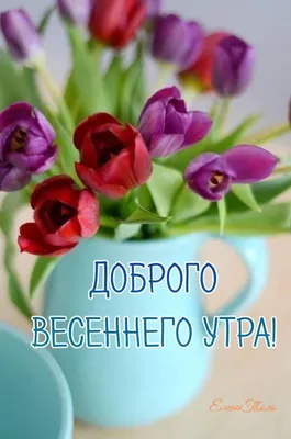 sm1rnovamari - 😊ДОБРОЕ УТРО!😊 . УЖЕ среда! Весна... Опять весна Опять  цветы Но лучше всех Конечно ты... .😉 #доброеутро #среда #весна #март  #цветы #любовь #настроение #красота #смирновамарина | Facebook