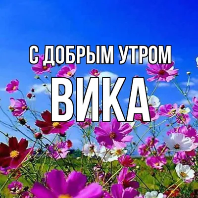 Доброе утро! Чудесного дня!🌹🌤️🌹🤗 | Поздравительные открытки, Открытки,  Подарки