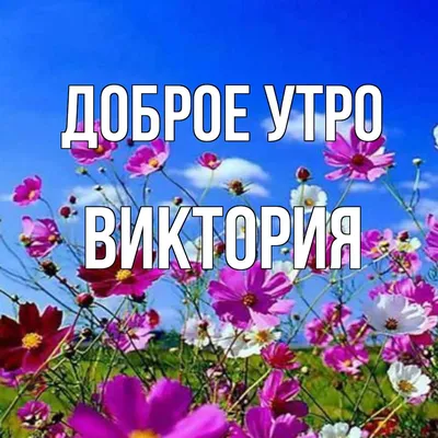 доброе утро! | кто это? | ВКонтакте