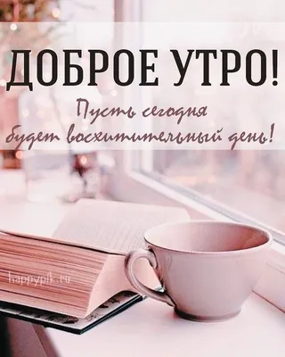 К. Виктория в Instagram: «#доброеутро #доброеутромир #доброеутровсем  #доброеутространа #хорошегоднявсем #четвергмаленькаяпятница»