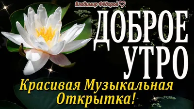 Открытка с именем Владимир Петрович Доброе утро картинки. Открытки на  каждый день с именами и пожеланиями.