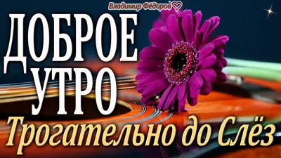 Картинки с надписями \"Доброе утро\" (1500+ шт.) | Доброе утро, Праздничные  открытки, Открытки