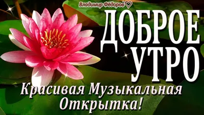 Доброе Утро! Вы Лучше Смейтесь Бедам Всем Назло! Музыкальная Открытка!  Читает Владимир Фёдоров - YouTube