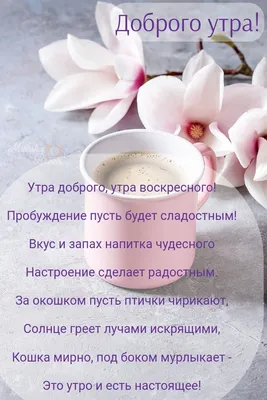Доброе утро воскресенье картинки фотографии