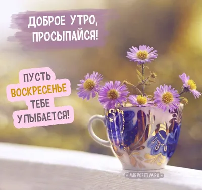 Забавная открытка \"С Добрым утром воскресенья!\", с ёжиком • Аудио от  Путина, голосовые, музыкальные