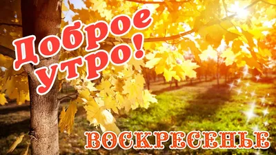 Картинки \"С Добрым Утром Воскресенья!\" (100+)