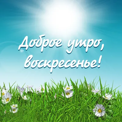 Доброе летнее утро! — Скачайте на Davno.ru