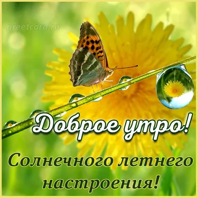 ДОБРОЕ УТРО! ЛЕТО ЗАКАНЧИВАЕТСЯ.. | Лето, Открытки, Доброе утро