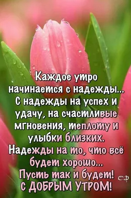 Kristina on X: \"@Valen_tina777 Доброе утро, Валечка! Отличного вторника,  береги себя! https://t.co/Wl7kHFsYGu\" / X