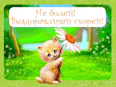 Выздоравливай! - скачайте на Davno.ru