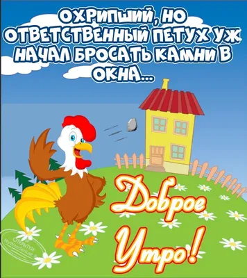 Прикольные картинки: \"Доброе Утро!\" (526 шт.)