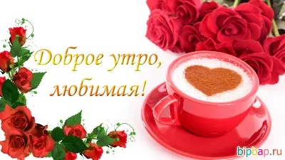 Чашка для чая \"Кружка с принтом Доброе утро Гульнара!\", 330 мл, 1 шт -  купить по доступным ценам в интернет-магазине OZON (673300699)
