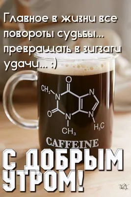 Котик и Зая «ДОБРОЕ УТРО!» в интернет-магазине Ярмарка Мастеров по цене  3000 ₽ – RS1IIBY | Мягкие игрушки, Санкт-Петербург - доставка по России