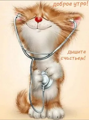 Открытка с добрым утром здоровья добра — Slide-Life.ru