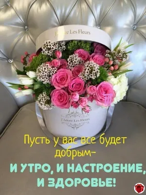 Доброе ктро! Всем крепкого здоровья!!#всем_добра_и_позитива #открытки ... |  TikTok