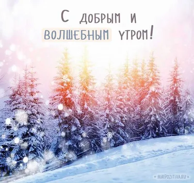 красивые и веселые открытки с добрым зимним утром｜Поиск в TikTok