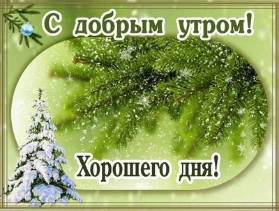 с добрым зимним утром любимая новинки 2023 красивые｜Поиск в TikTok