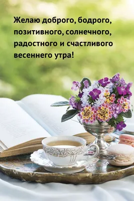 С добрым весенним утром!🌷☀️Солнечного дня! Красивая музыкальная открытка!  - YouTube