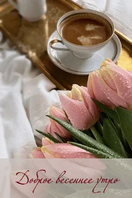доброе весеннее утро чашка кофе на столе с красными тюльпанами Стоковое  Изображение - изображение насчитывающей померанцово, жизнь: 216420093